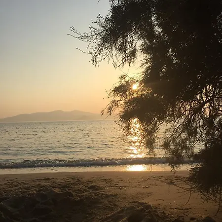 Depis Sea Side Private * Mikri Vigla